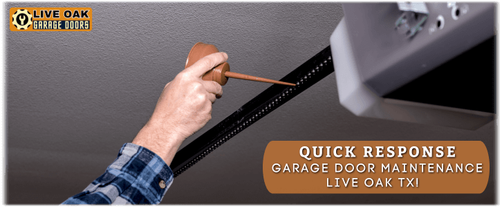 Garage Door Maintenance Live Oak TX